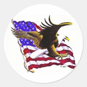 Eagle & Flag Classic Round Sticker