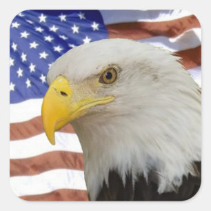 Eagle flag sticker