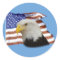 Eagle flag sticker