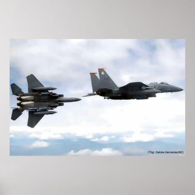 eagle flight poster (Front)