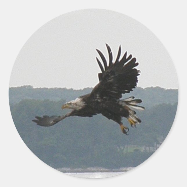 Eagle Flight Sticker (Front)
