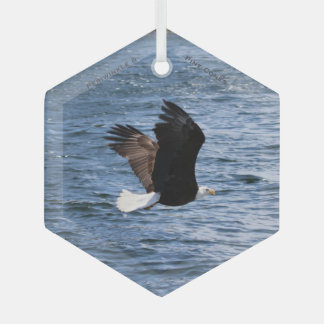 Eagle Flying over the Ocean Crest Glass Ornament
