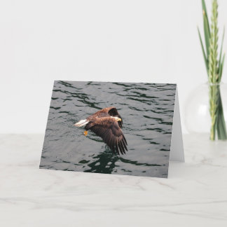 Eagle flying with wings out card
