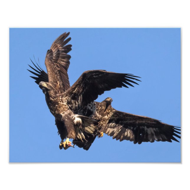 Eagle Games Photo Print (Front)