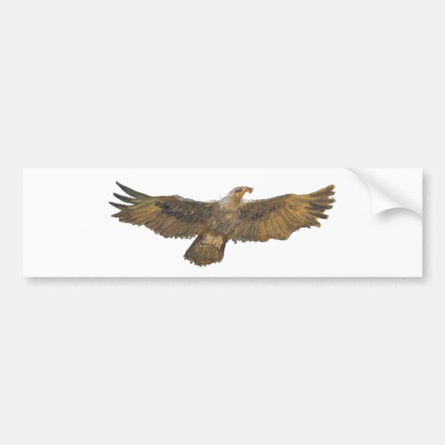 Eagle Golden Eagle Bald Eagle Bumper Sticker (Front)