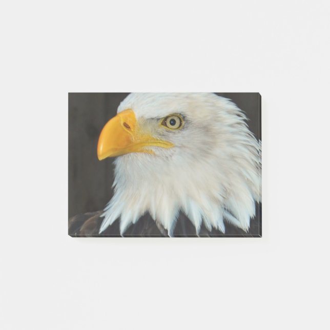 Eagle Head Post-it Notes (Front)