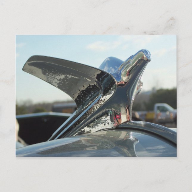 Eagle Hood Ornament Postcard (Front)