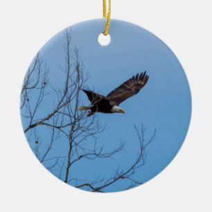 Eagle In Flight Ceramic Ornament