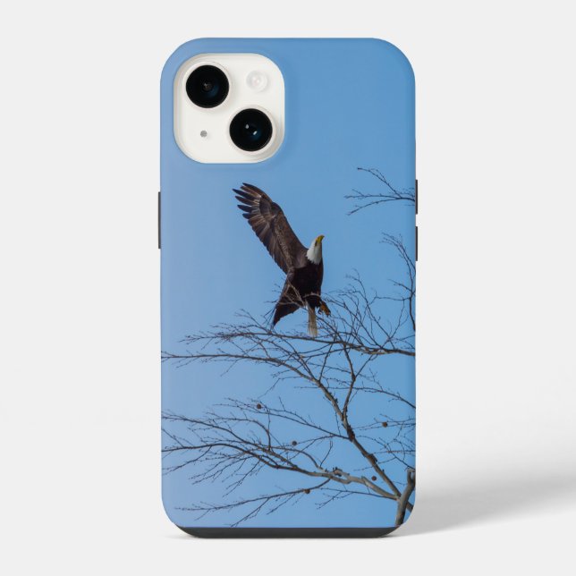 Eagle In Flight iPhone Case (Back)