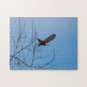 Eagle In Flight Jigsaw Puzzle