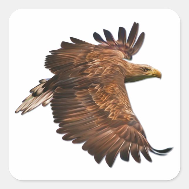 Eagle in Flight Set of Square Stickers (Front)