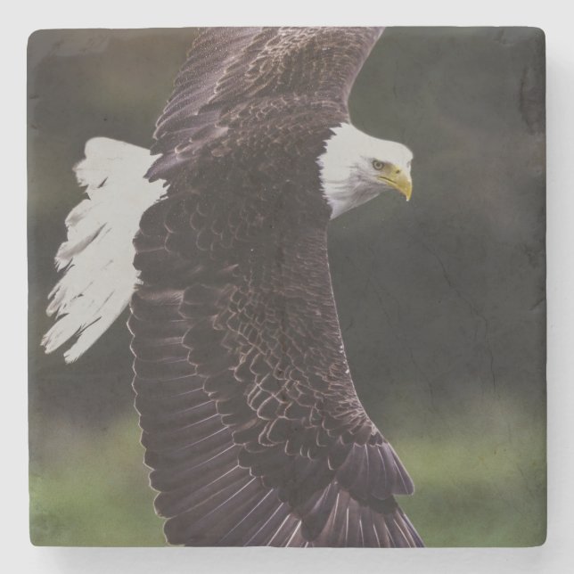 Eagle in flight stone coaster (Front)