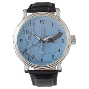 Eagle In Flight Watch