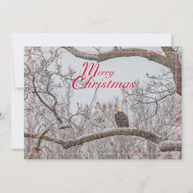Eagle In Snowstorm Holiday Card (Front)