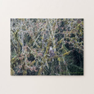 Eagle in the PNW Jigsaw Puzzle