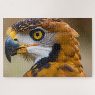 Eagle Jigsaw Puzzle