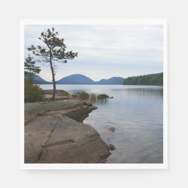 Eagle Lake at Acadia National Park Napkin (Front)