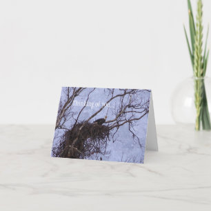 Eagle Lookout Painting Thinking Of You Card