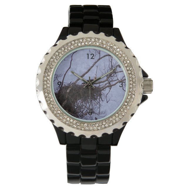 Eagle Lookout Painting Watch (Front)
