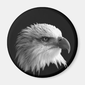 Eagle Magnet