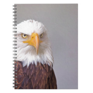 Eagle Notebook