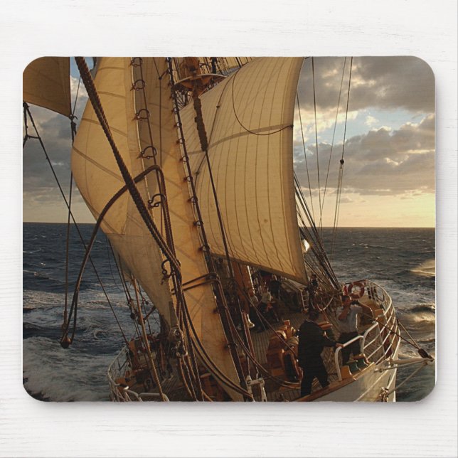 Eagle of the Sea Mouse Pad (Front)