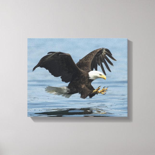 Eagle on Approach Canvas Print (Front)