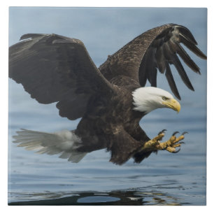 Eagle on Approach Tile