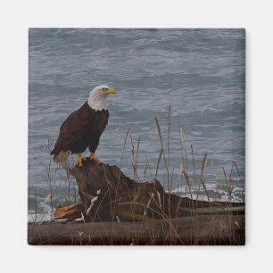 Eagle on South Beach Magnet