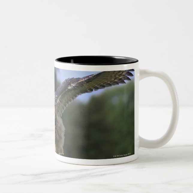 Eagle Owl (Bubo bubo) Two-Tone Coffee Mug (Right)