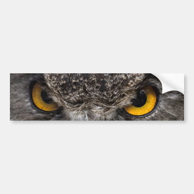 Eagle Owl Bumper Sticker (Front)