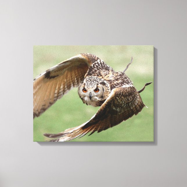 Eagle Owl In Flight Canvas Print (Front)