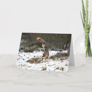 Eagle Owl in Flight Card