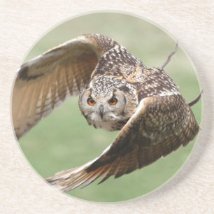 Eagle Owl In Flight Coaster