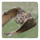 Eagle Owl In Flight