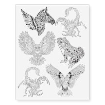 Eagle Owl Scorpion Frog Zebra Colouring