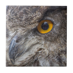 Eagle Owl With Intense Orange Eyes Tile