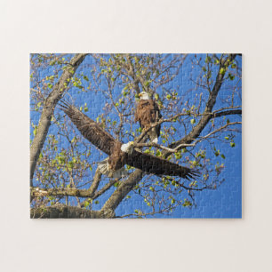 Eagle Pair Jigsaw Puzzle