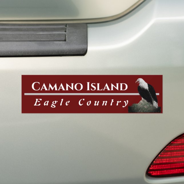 Eagle, Personalize City Text Bumper Sticker (On Car)