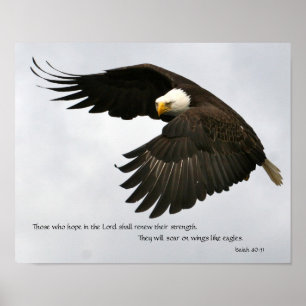 Eagle Photo with Bible Verse Poster