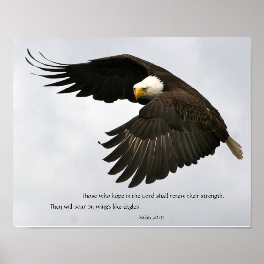 what-do-eagles-represent-spiritually-8-spiritual-meanings