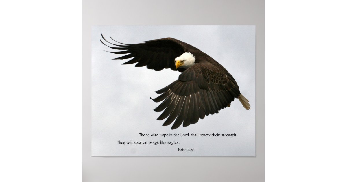 Eagle Photo with Bible Verse Poster | Zazzle