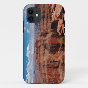 Eagle Point iPhone 11 Case