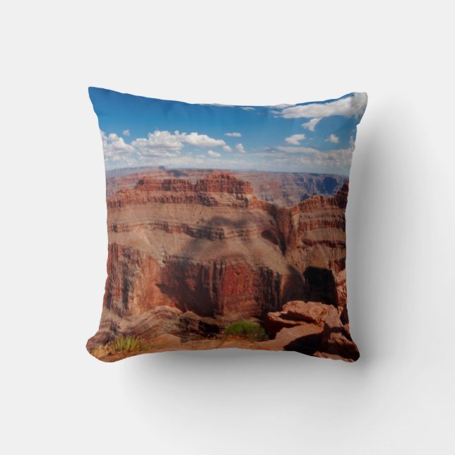 Eagle Point Throw Pillow (Front)