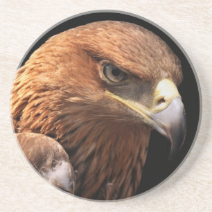 Eagle portrait isolated on black coaster
