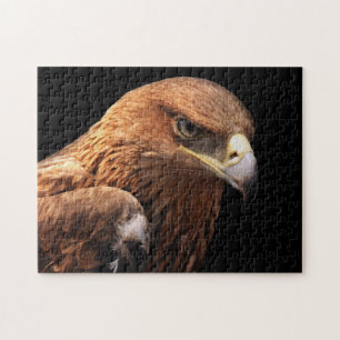 Eagle portrait isolated on black jigsaw puzzle