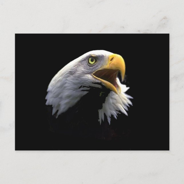 Eagle Postcard (Front)