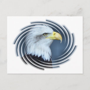 EAGLE POSTCARD