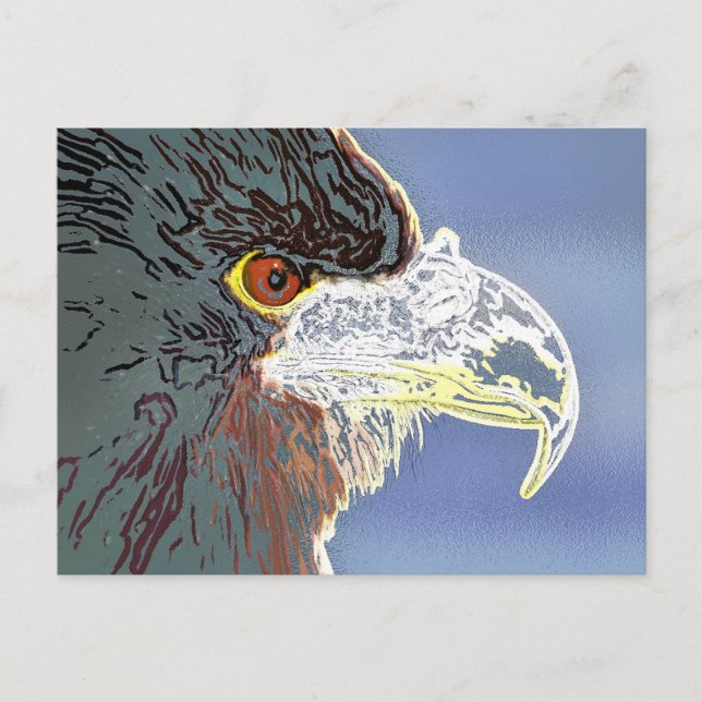 EAGLE POSTCARD (Front)