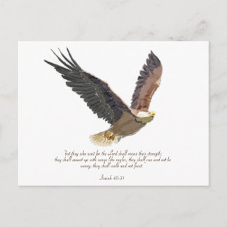 Eagle Postcard